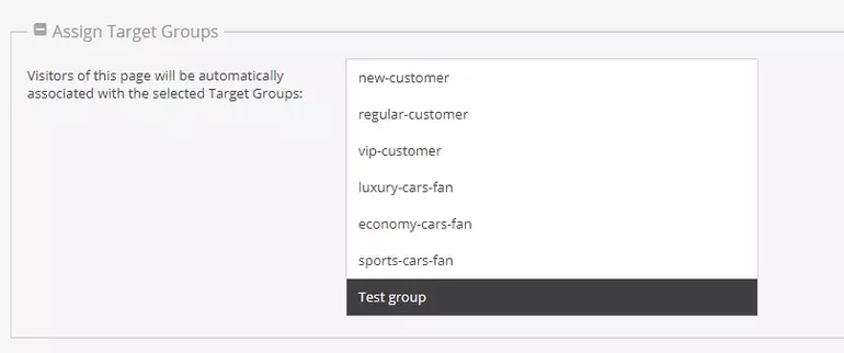 Assigned target groups to a document in Pimcore