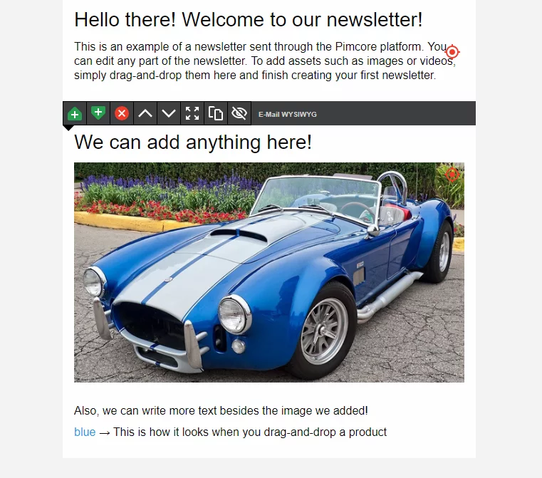 You can select a specific area of an image, or add markers and hotspots to the image. Also, there’s an option for direct upload from your hard drive.   The second content block that’s available in Pimcore’s email templating system is the email WYSIWYG block. You can add all types of content to this content block, from products to customer segments and various images. 