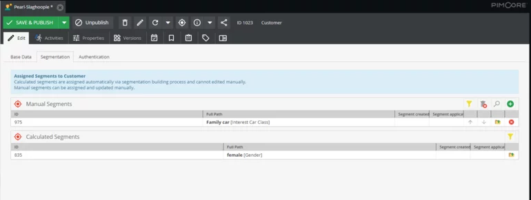 Manual segments in Pimcore