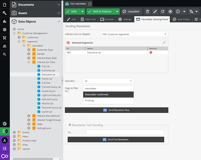 Newsletter settings in Pimcore administration